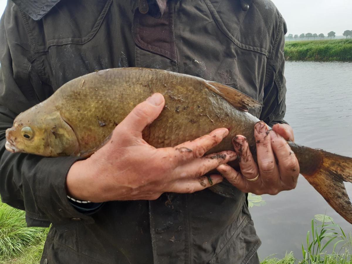 Vakantiehuis De Veldhoen Vrijgelegen Nabij De Rivier De Vecht Beerze المظهر الخارجي الصورة